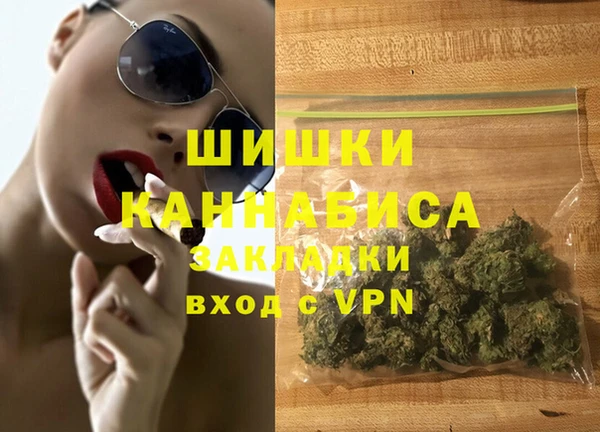 индика Кодинск