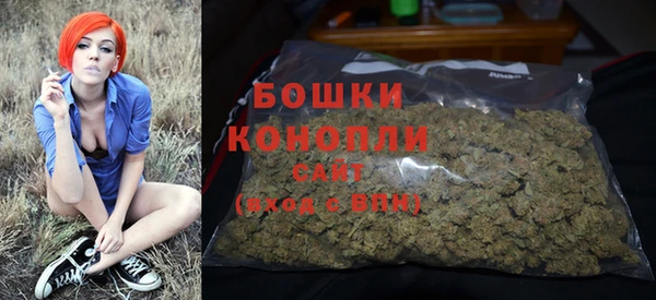 индика Кодинск