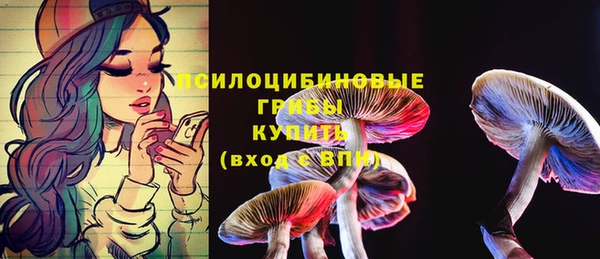 Альфа ПВП Киреевск