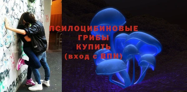 Альфа ПВП Козловка